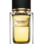 Dolce & Gabbana Velvet Patchouli
